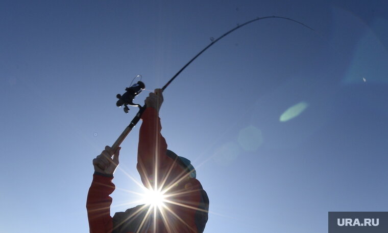    Щуку поймали рядом с пляжем «Молодежный» на озере Иртяш
