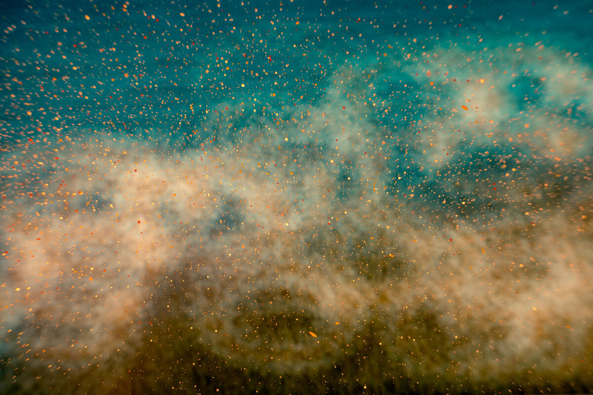 Photo by Jr Korpa on Unsplash