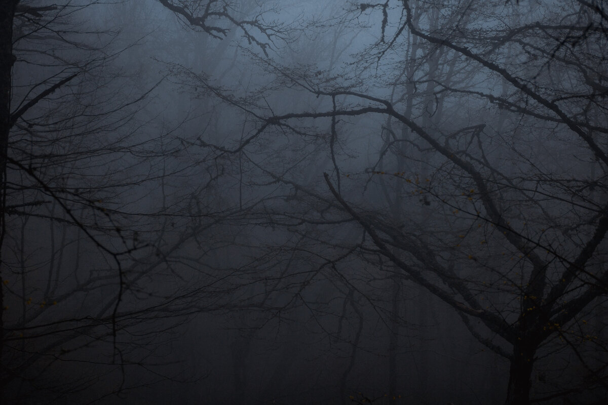 Фото  "Магия леса", сделано мной на "Форосском канте", автор: Крымская Сова.