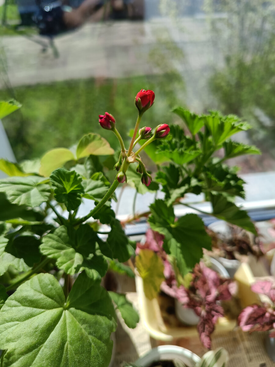 Фото автора статьи. 