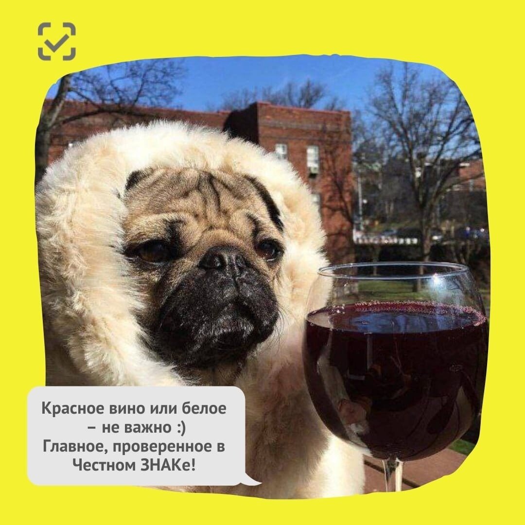 Польза вина – правда или вымысел?