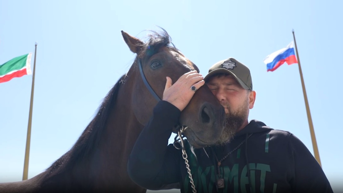    Фото: Telegram / Kadyrov_95