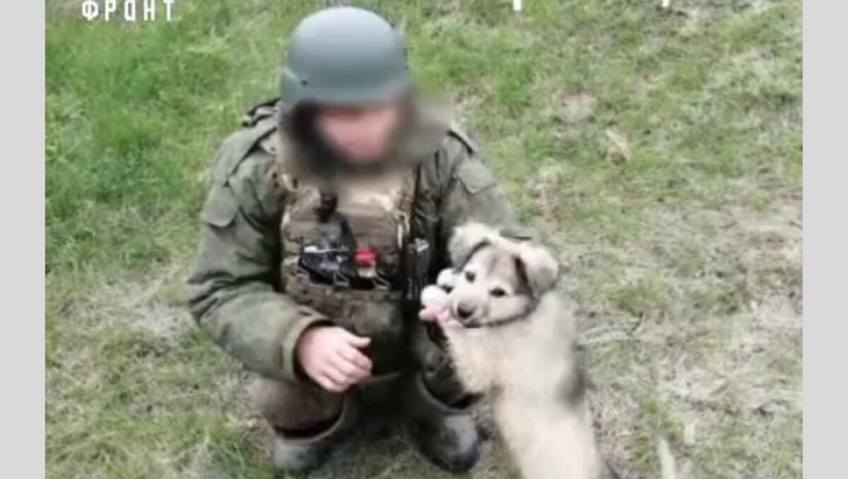     Несущие службу в зоне спецоперации бойцы Удмуртского полка завели щенка по кличке Братишка. Он стал верным другом и военнослужащим, и поросенку Пуле. Об этом корреспонденту Udm-info рассказали в региональном отделении Народного фронта в Удмуртии.