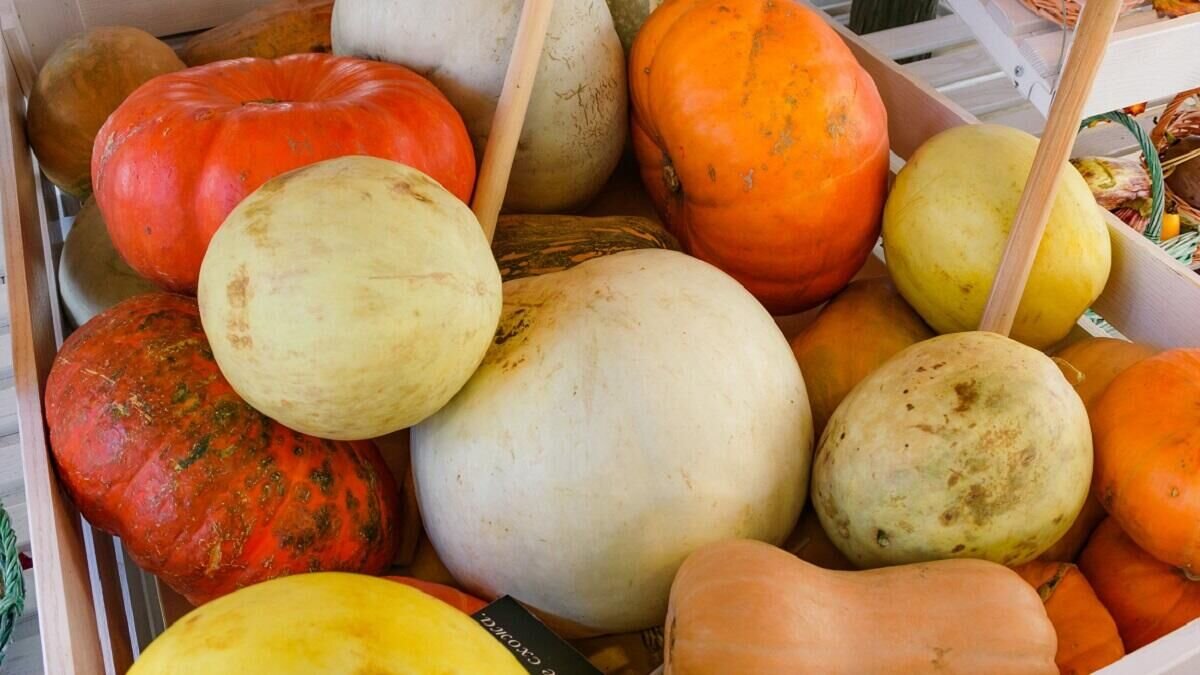    Тыква© Globallookpress Sergey Smirnov