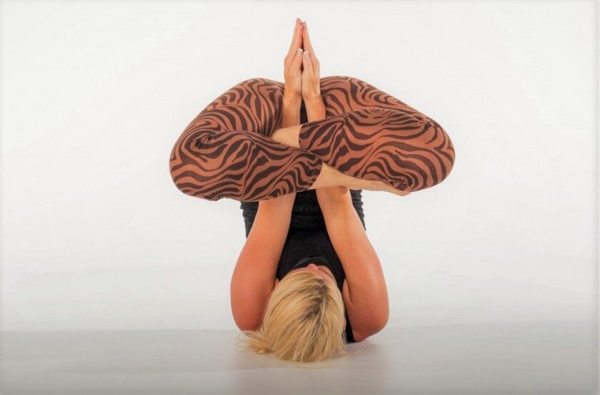 Фотография взята из открытых источников.