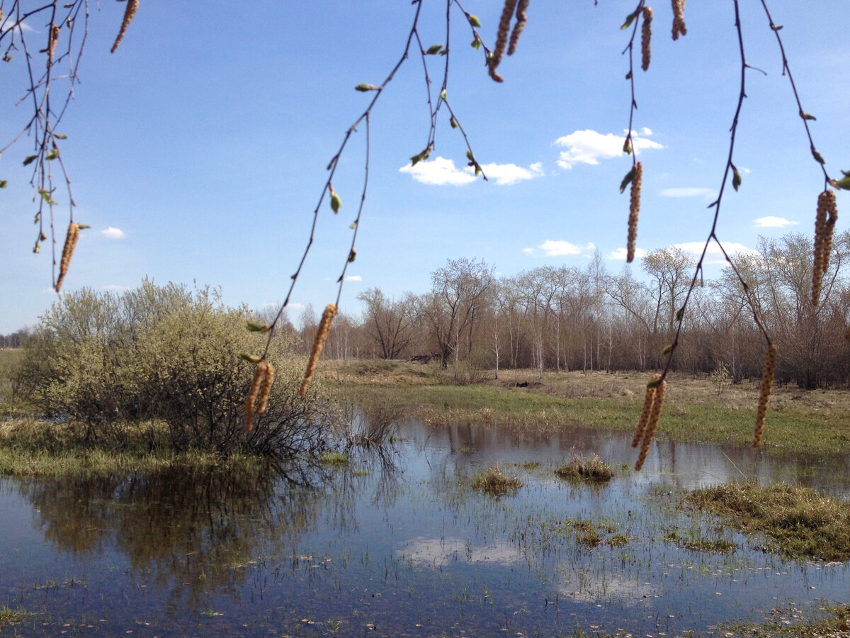 Захотелось просто фоточку с водой