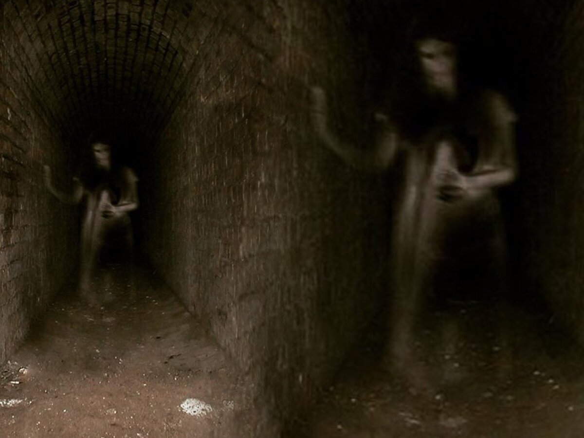 Из открытых источников сети Интернет