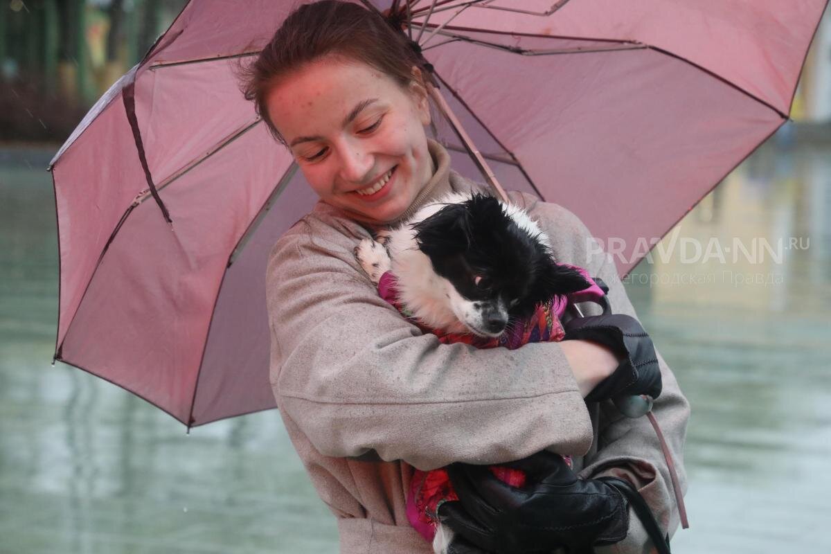    Для хозяев их питомец самый красивый Pravda-nn.ru