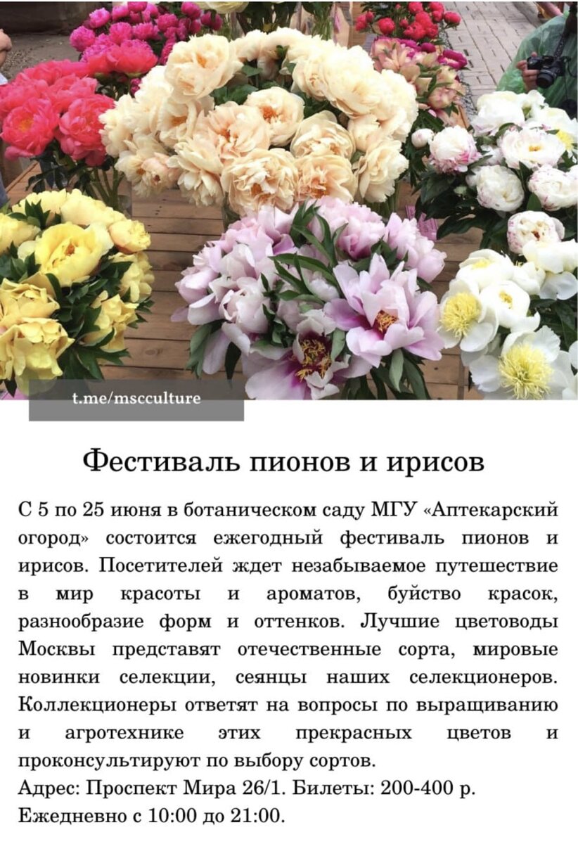 Фото из открытых источников в интернете 