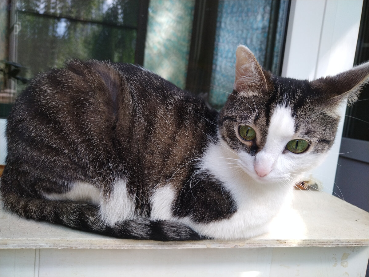 Фото автора 