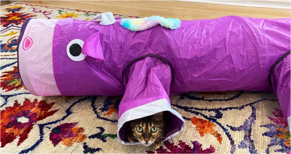 Туннель для кошки с рукавами