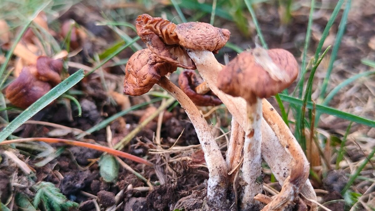 А у меня на даче теперь и личный 