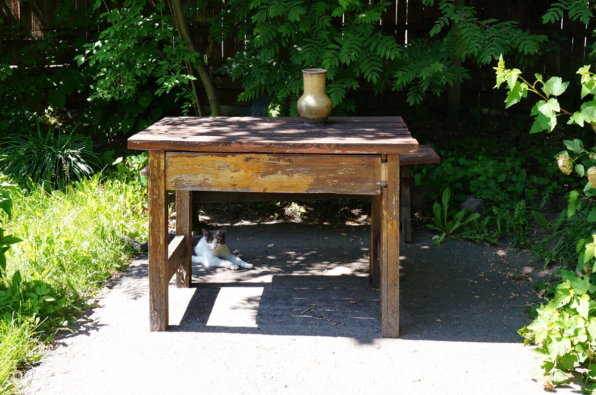 «Стол поэта» в ярославском музее М.А. Богдановича. В кадр удачно попала кошка, «намывающая гостей»