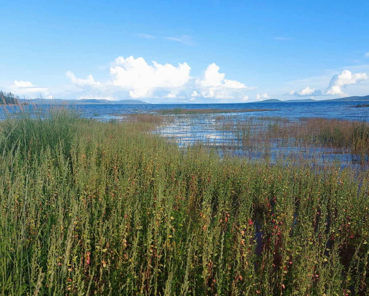 Рыбачить в таком месте на классический фидер и донки практически невозможно 
