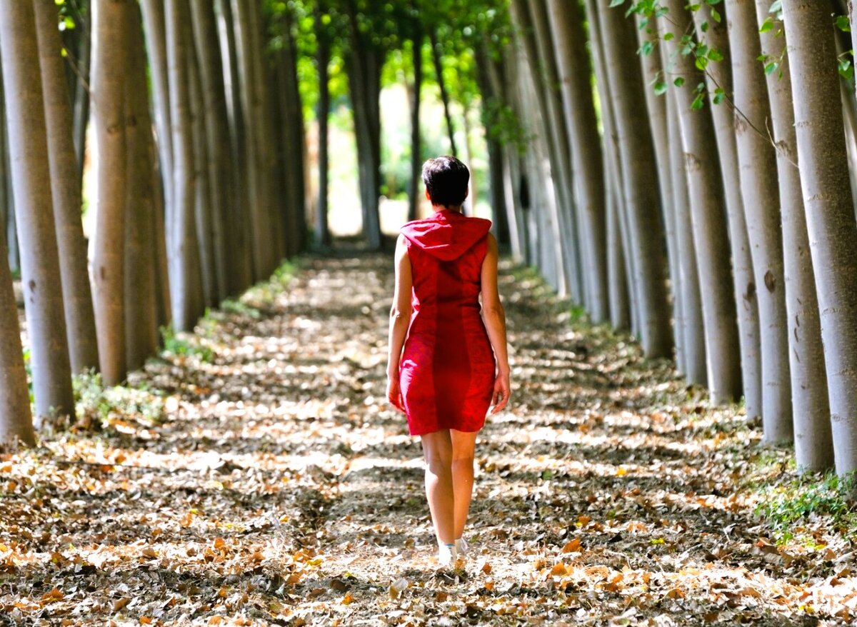 С какой стороны идти девушке. Девушка среди деревьев фото. Woman Walking.