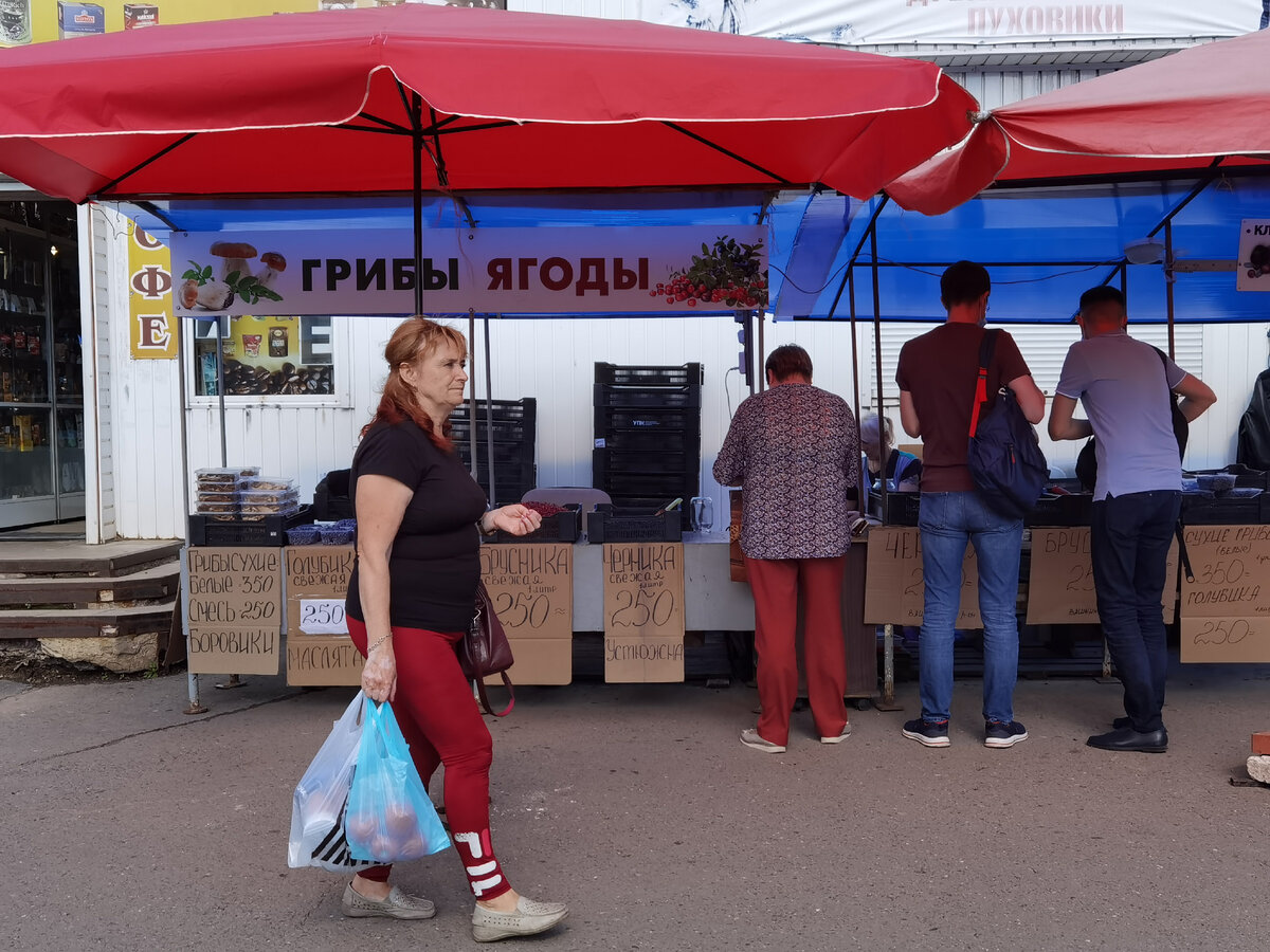 Почём сегодня северная ягода на рынке в Вологде (и стоит ли ехать к нам за  ягодами и грибами или ещё подождать) | Северяночка | Дзен