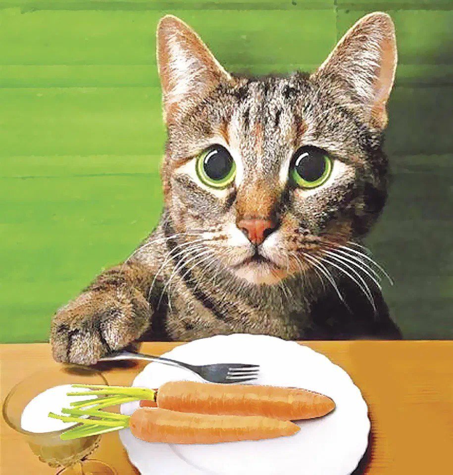 Фото Яндекс.Картинка