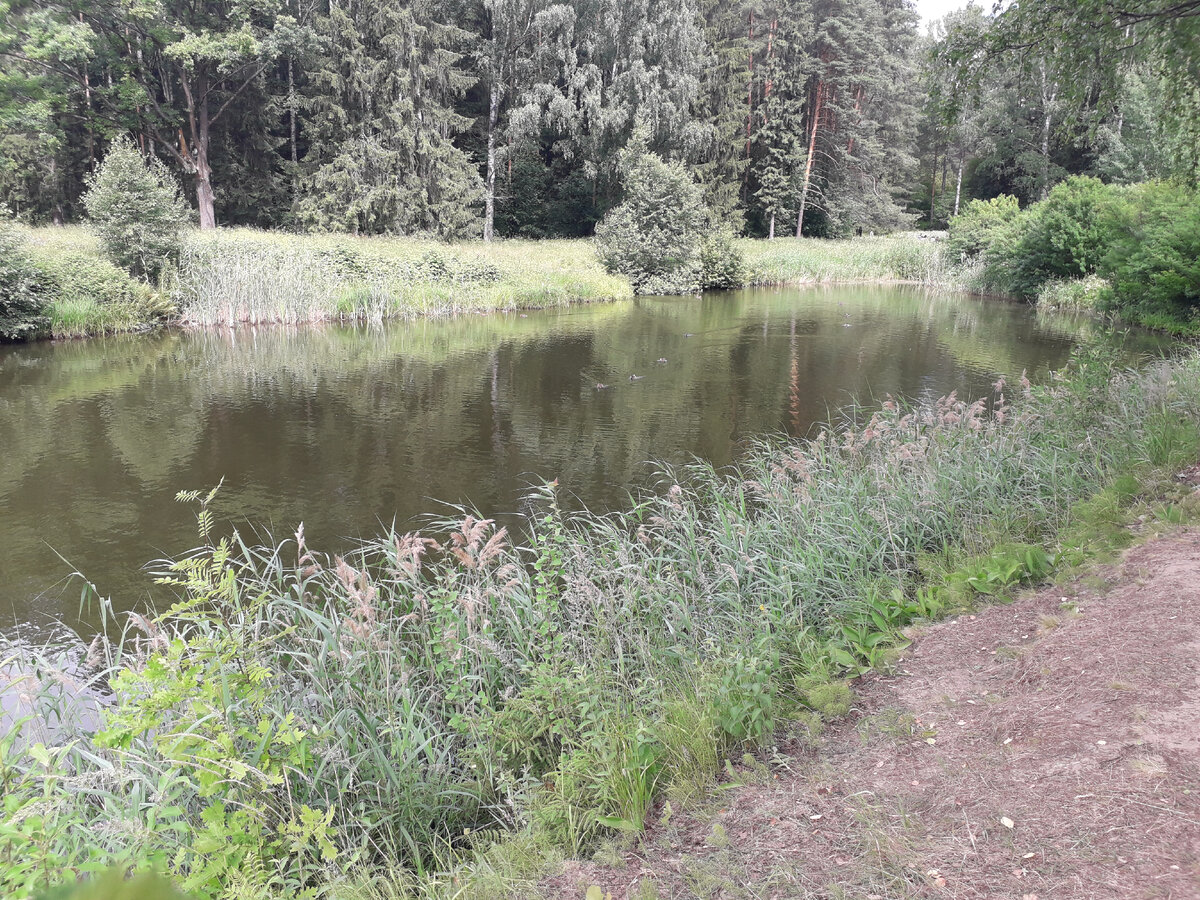 Круглозальные пруды.