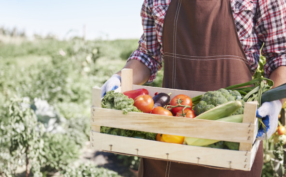 Фото: freepik.com 