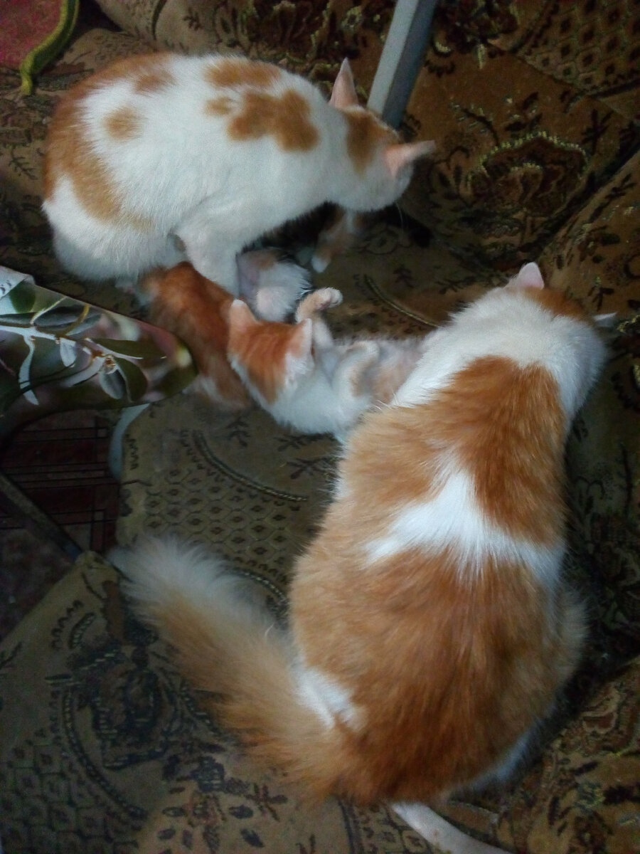 - Мать, мы кого то потеряли кажись!