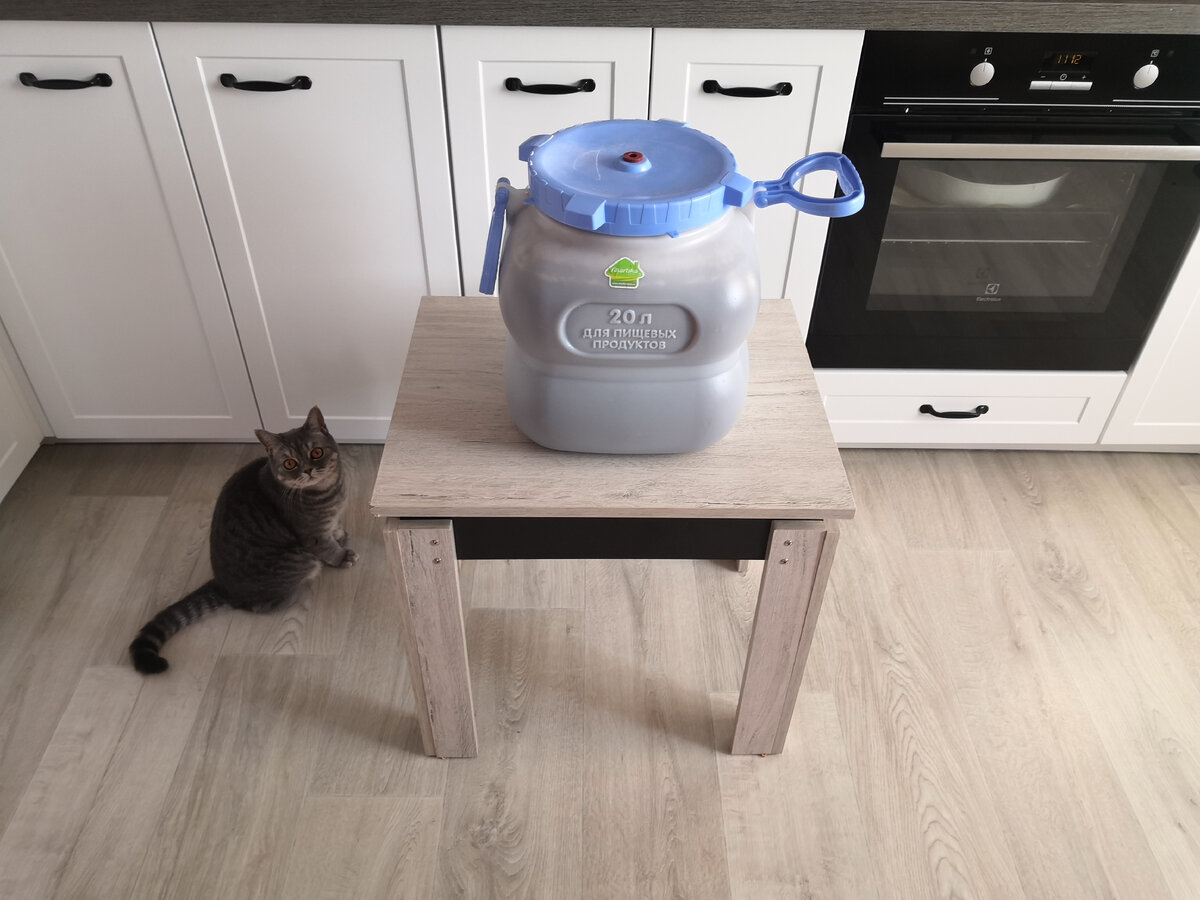 Алиска решила поучаствовать 