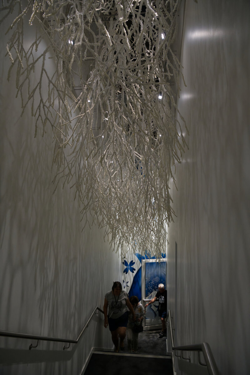 Лестница для спуска в Зимний зал