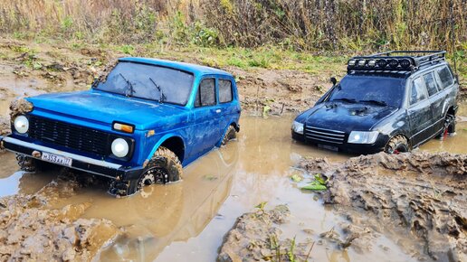 Советская НИВА ТОП для бездорожья? ... Land Cruiser решил показать, кто здесь король! RC OFFroad 4x4