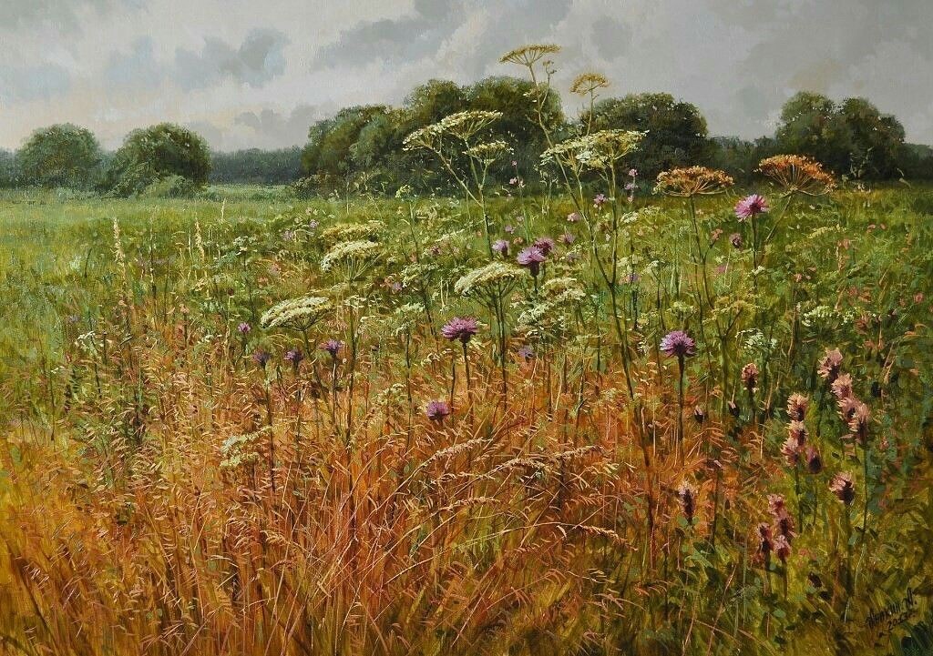 Картинка из свободного доступа