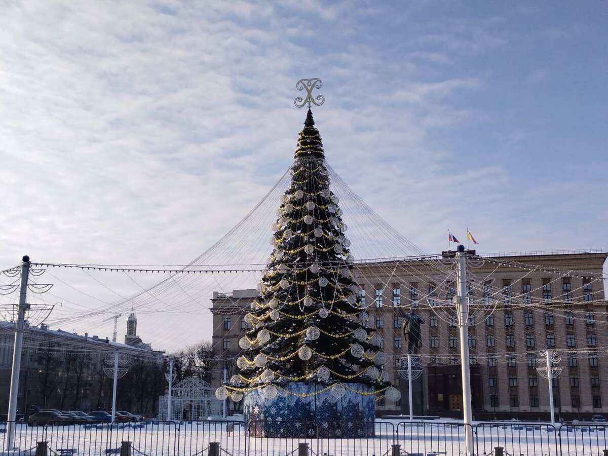 елка в воронеже на площади