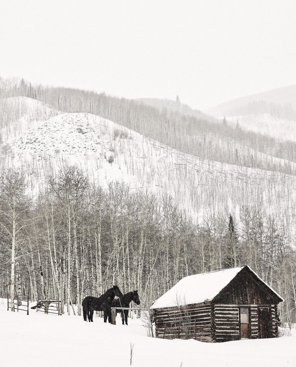    Фото дня: вид Аспена — от бренда Totême (фото 1)