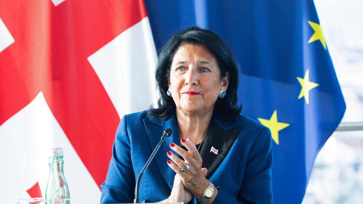    Президент Грузии Саломе Зурабишвили во время встречи с президентом Австрии Александром Ван дер Белленом в Вене© РИА Новости / Стрингер