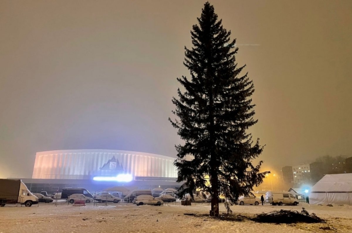    В мэрии Уфы рассказали, какая городская елка зажжет новогодние огни первой