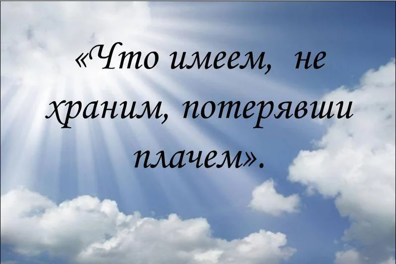 Пока имеем. Что имеем не храним потерявши плачем. Что имеем не храним. Что имеем не храним потерявши плачем пословица. Потерявши плачем пословица