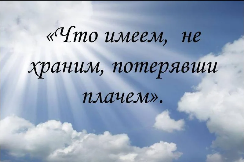 Пока имеем. Что имеем не храним потерявши плачем. Что имеем не храним. Что имеем не храним потерявши плачем пословица. Потерявши плачем пословица.