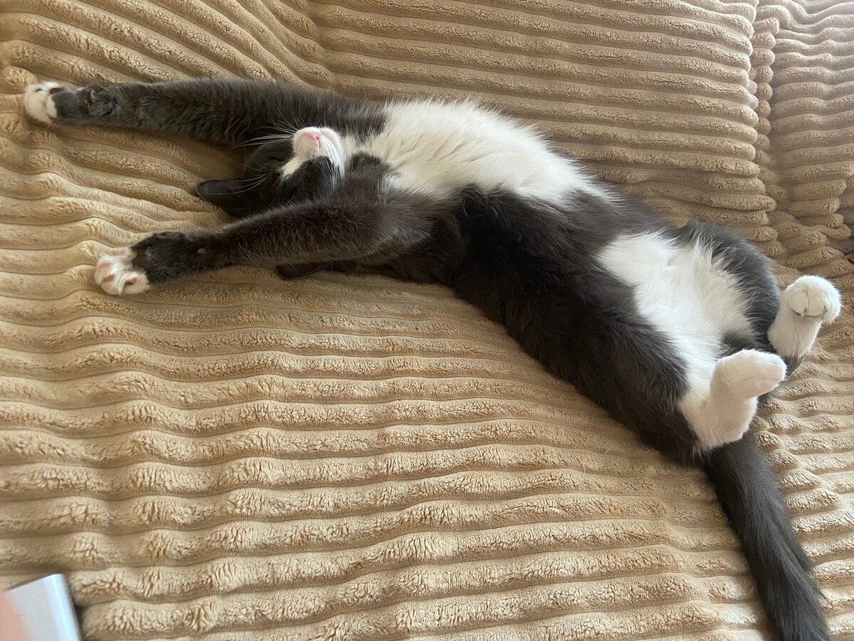 Они умеют удивлять и восхищать.