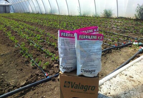 Источник: zhivotnye-gid.ru