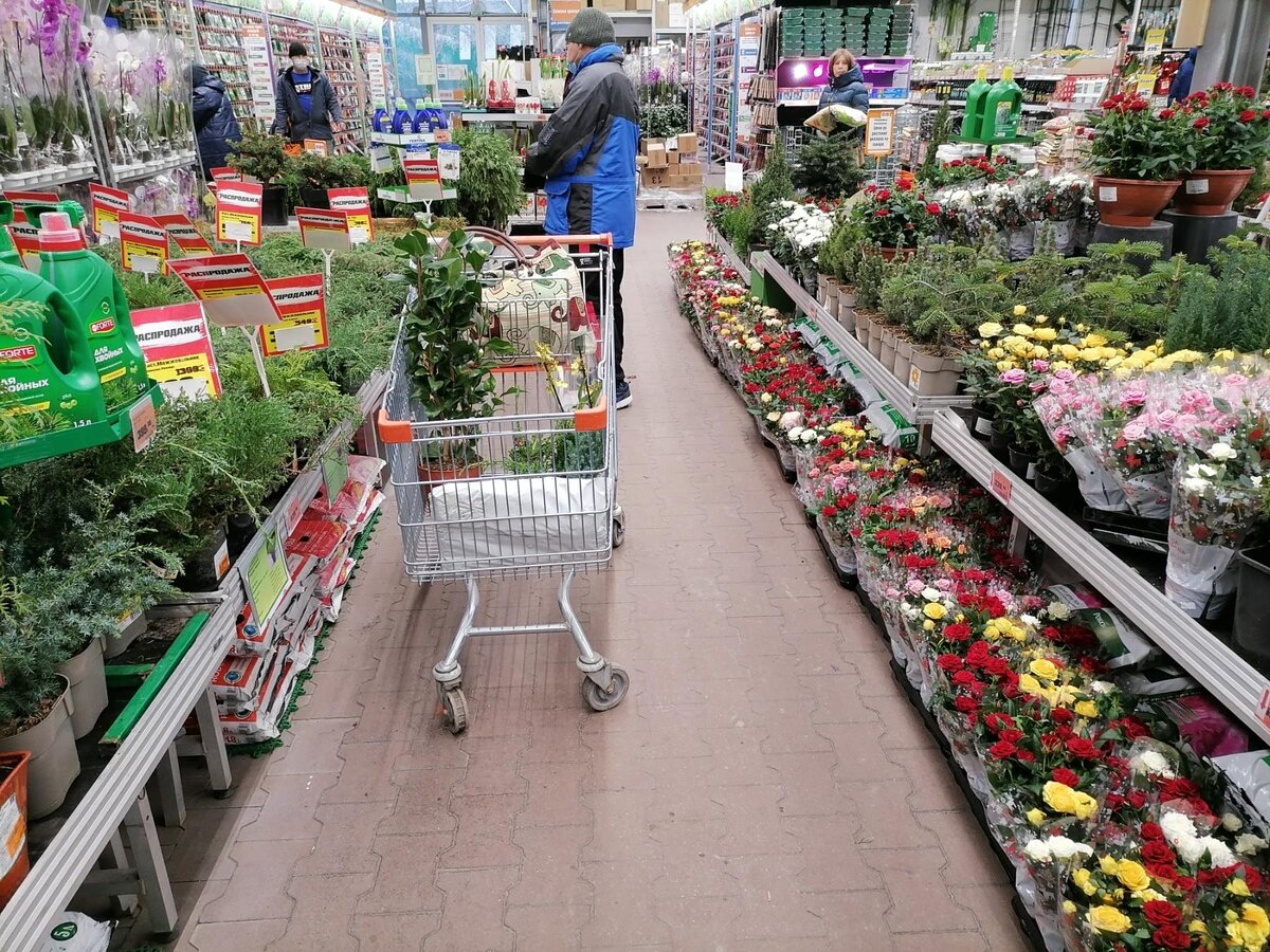 Гуляя по ОБИ