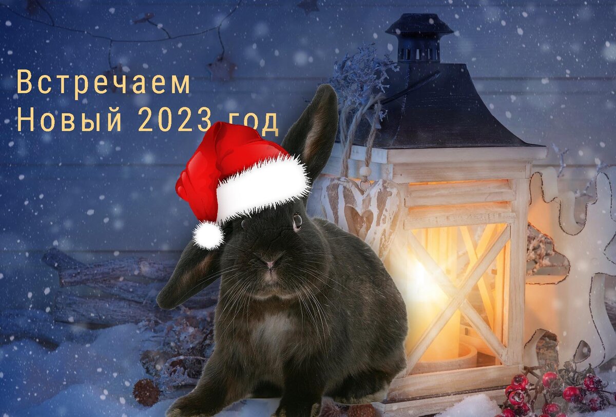 Про новый 2023