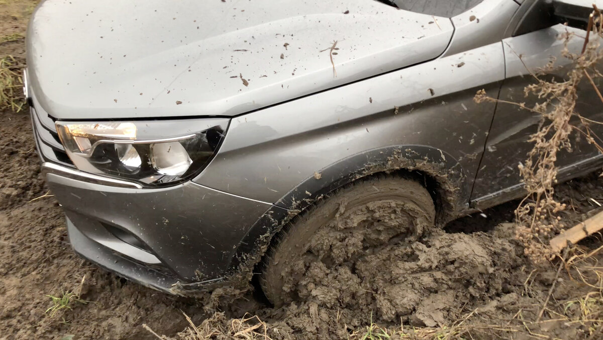 фото https://a.d-cd.net/bec7ed5s-1920.jpg