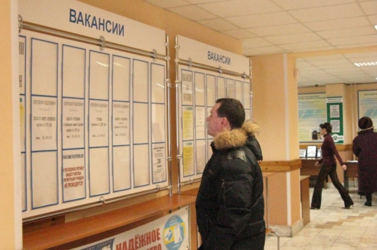    33 регион оказался в лидерах рейтинга по низкому уровню безработицы