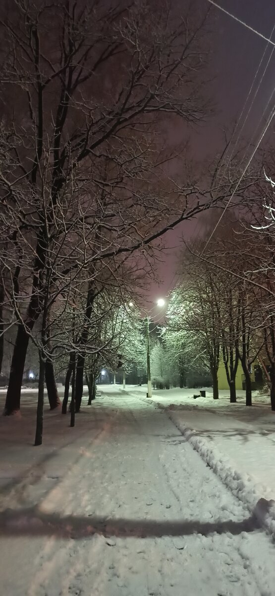 Зимние прогулки