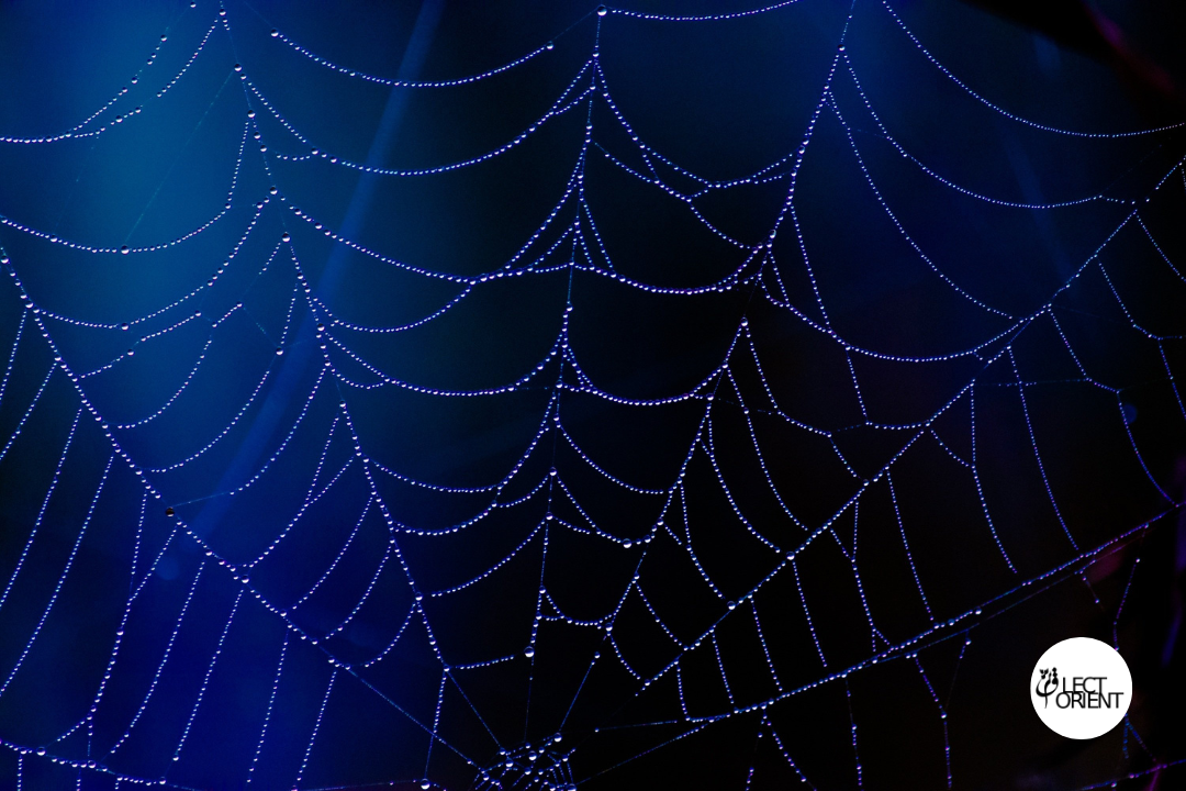 Фото взято из открытого фотостока Canva 
