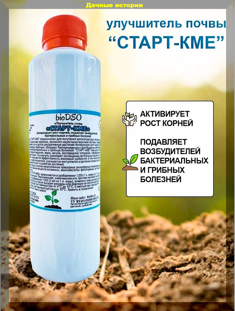https://vk.com/photo-159774511_457258501