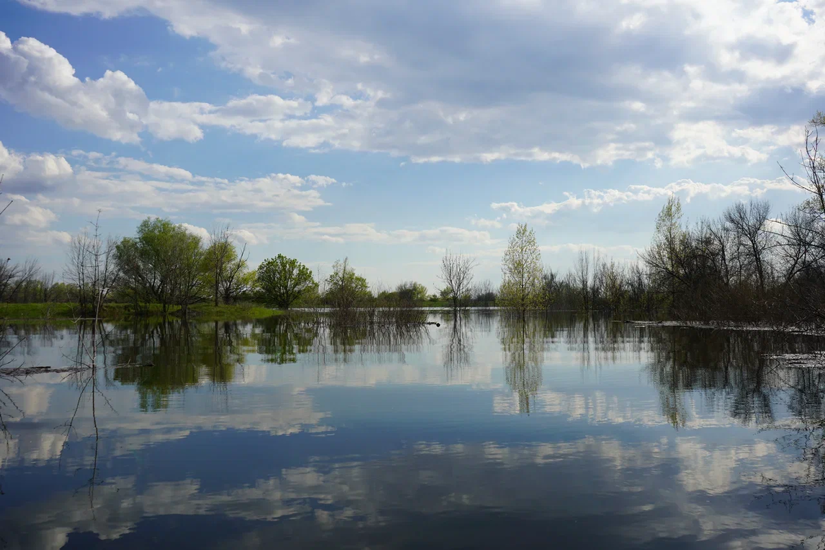 Авторское фото волгоградского ученого и фотографа Елены Попковой: https://www.saatchiart.com/account/artworks/1599809