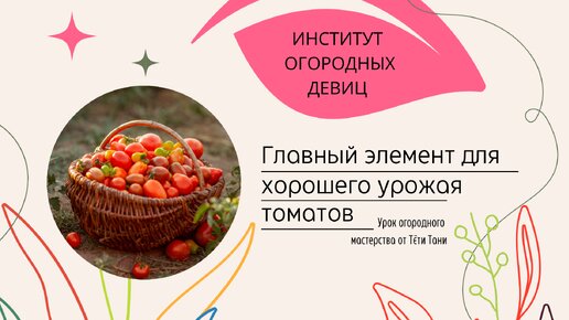 Главный элемент для хорошего урожая томатов.