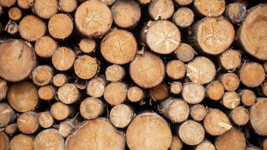    Автор фото: unsplash.com