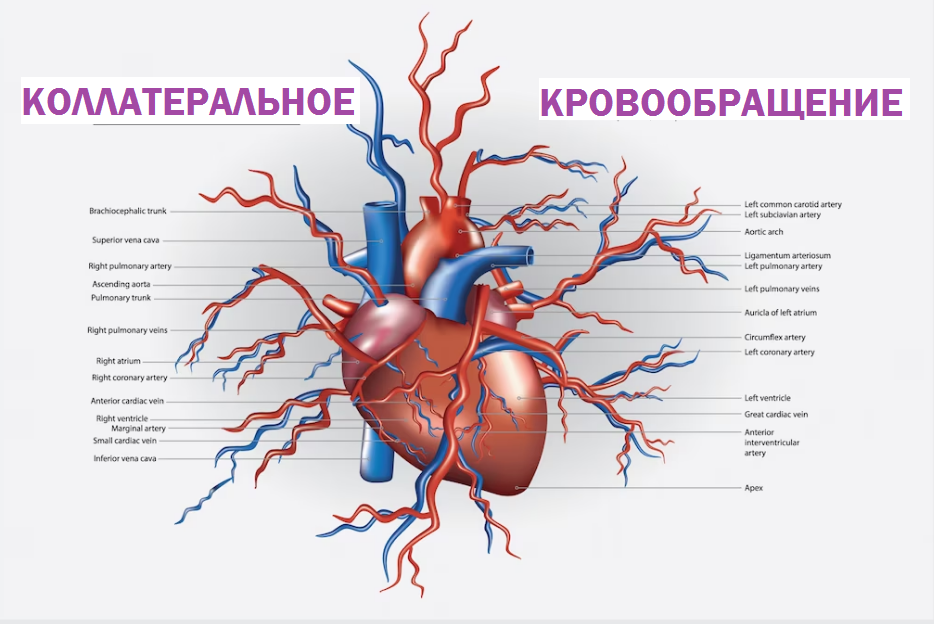 Изображение любезно предоставлено: https://ru.freepik.com