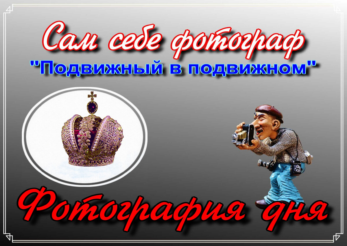 Сам себе фотограф. Фотография дня Канал Дзен "Подвижный в подвижном"