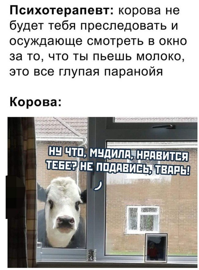 Корова осуждает