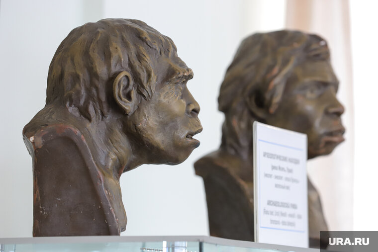    Ведущий нового шоу «Все не так» Андрей Лобачевский заявил, что люди склонны много принимать на веру